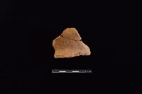 陶罐藏品圖，第1張